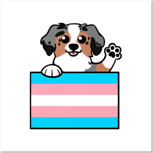 Love is Love Puppy - Blue Merle Trans Pride Flag Posters and Art